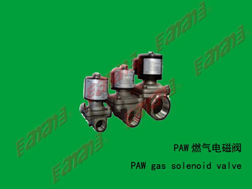PAW燃气电磁阀