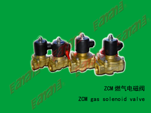 ZCM煤气电磁阀